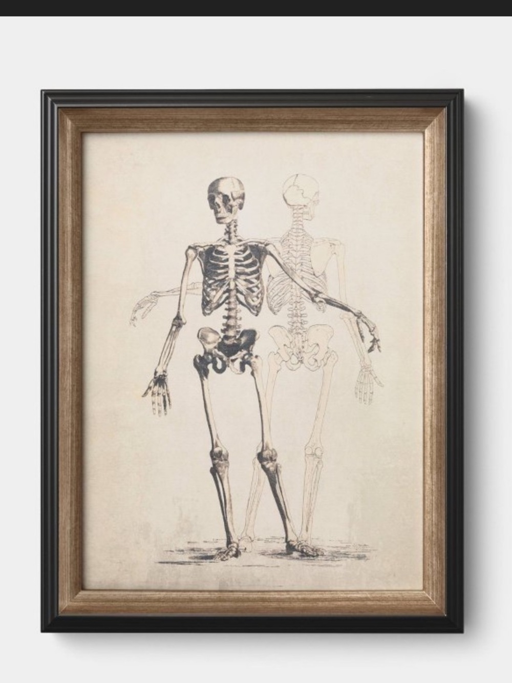 14"x18" Skeleton Halloween
Wall Art Framed Dark Off-White
- Threshold™